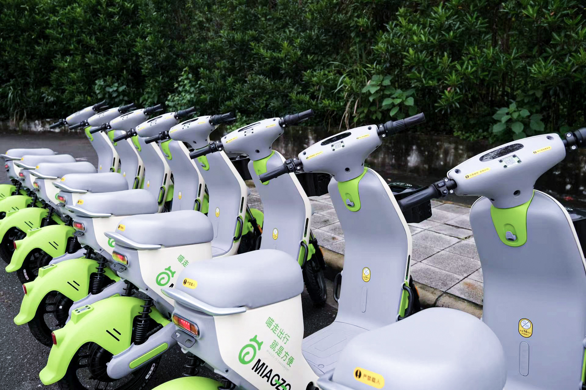 共享電動(dòng)車需整齊有序擺放 共享電動(dòng)車需整齊有序擺放